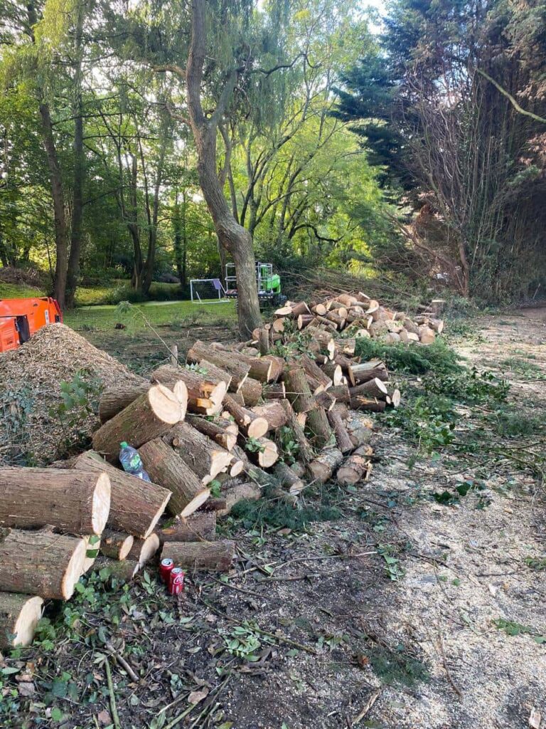 This is a photo of an overgrown large garden, which is in the process of having tree removal. The photo shows a stack of logs along the left hand side, from all the trees which are being removed. Photo taken by Eye Tree Surgeons.