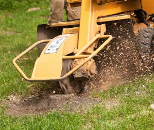 This is a photo of a stump grinding machine being used to remove a tree stump in a field. Photo taken by Eye Tree Surgeons.